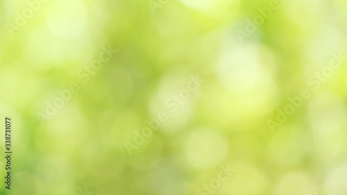 green bokeh background