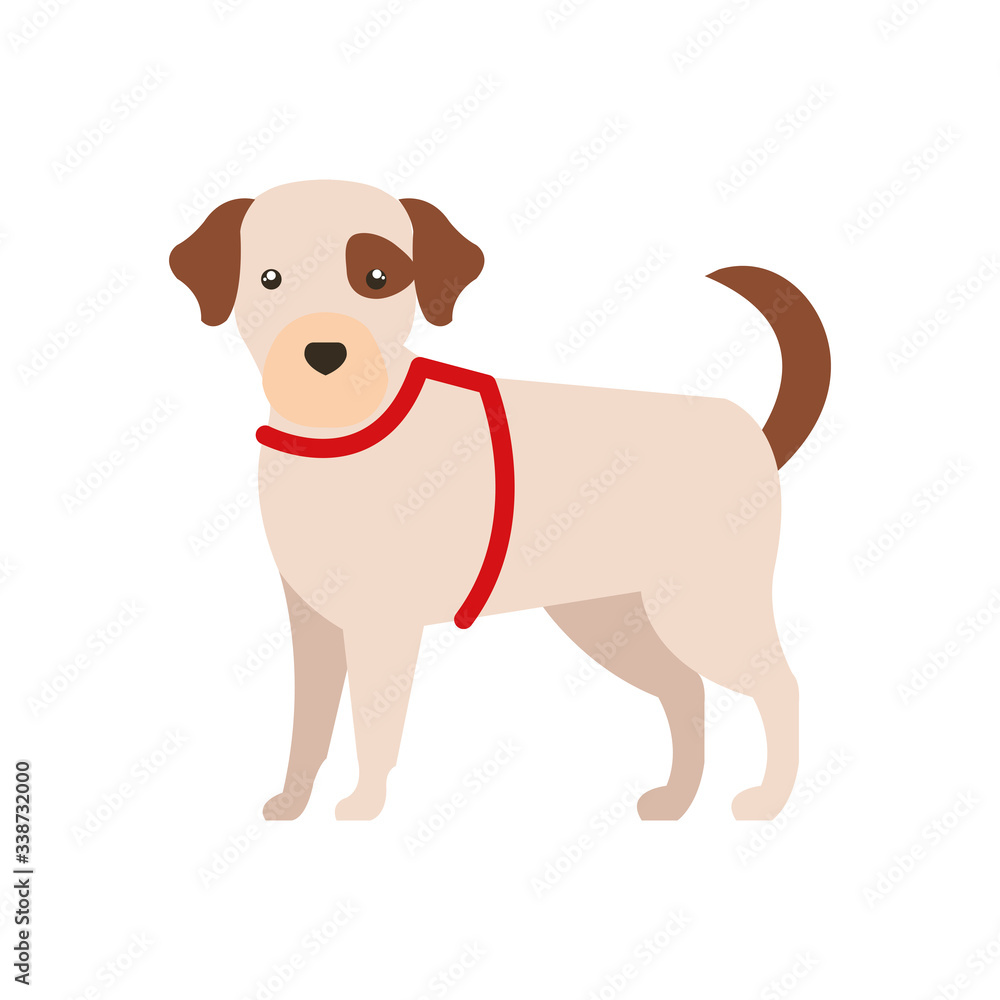 cute dog white with stain brown color vector illustration design