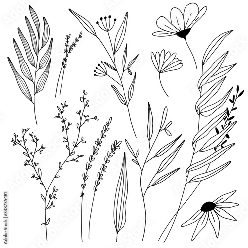 Hand drawn collection with seasonal plants and leaves