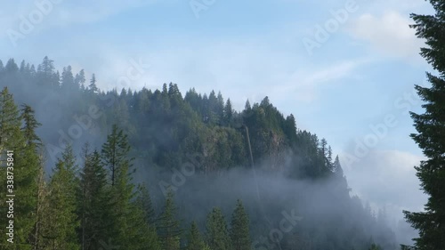 Fog moves past pipeline on foresty mountain. photo