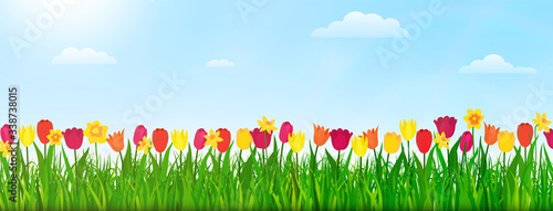 Spring nature landscape with flowers, green grass and blue sky. Vector illustration