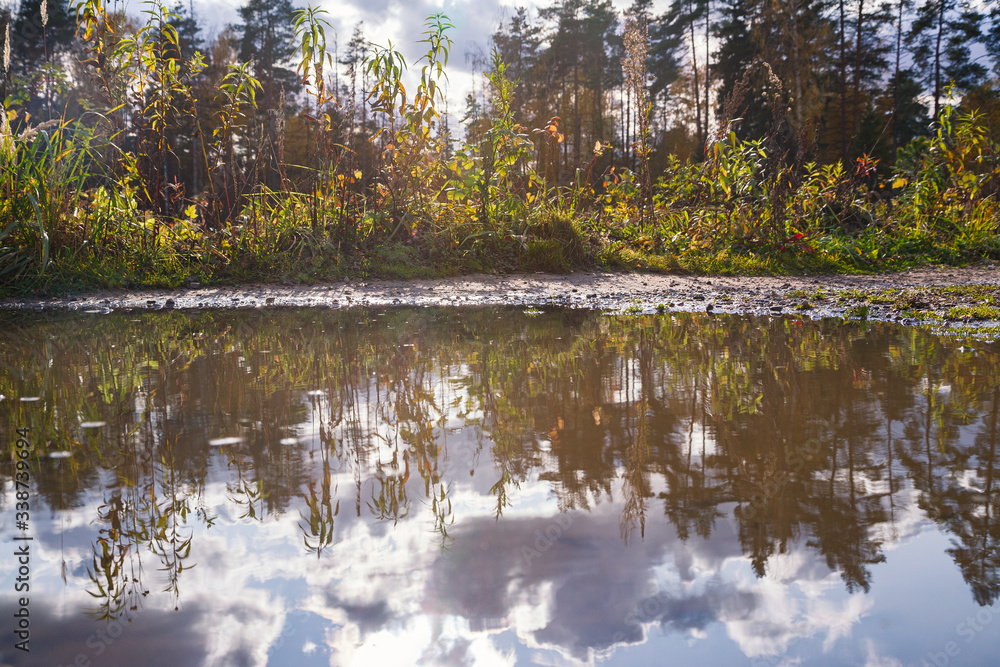 summer landscape of lake with vegetation on the shore and reflactive sky and clouds in the water summer landscape of lake with vegetation on the shore and reflactive sky and clouds in the water