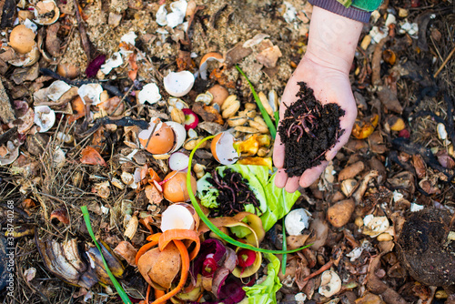 red worms on the male palm for vermicomposting organic food scraps