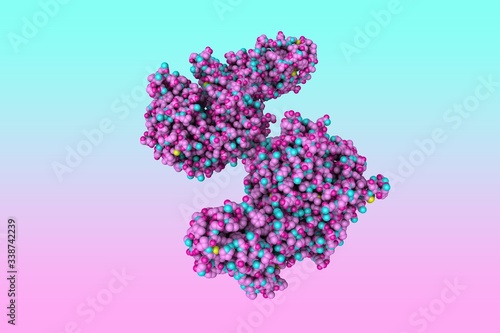 Molecular model of spike protein receptor-binding domain from the 2002-2003 SARS coronavirus civet strain complexed with human-civet chimeric receptor. Scientific background. 3d illustration