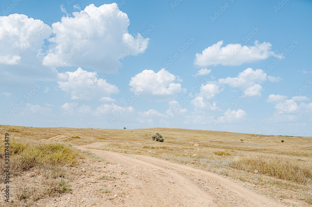 Obraz premium Country road. Ecology concept. Summer