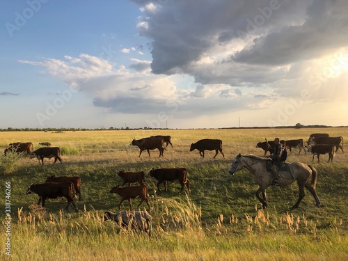 Fototapeta Naklejka Na Ścianę i Meble -  Shepherd grazing herd in the steppe