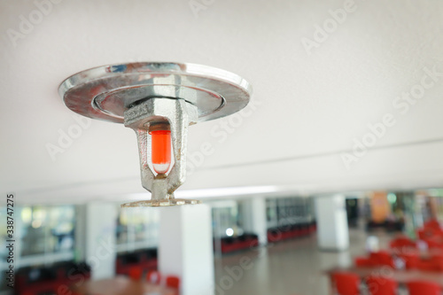 Fire sprinkler on the white ceiling install in the office.