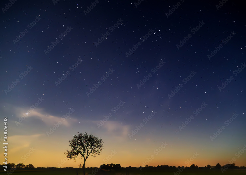 beautiful dark sky with a lot of stars at Easter morning (April 12, 2020, ca. 04.30 a. m.) with silhouette of a leafless tree in the district Wesermarsch (Germany) beautiful dark sky with a lot of stars at Easter morning (April 12, 2020, ca. 04.30 a. m.) with silhouette of a leafless tree in the district Wesermarsch (Germany)