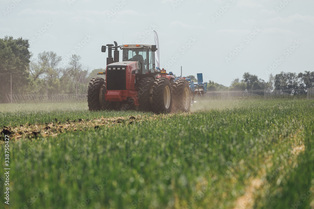 Fototapeta premium red tractor in a green field on a sunny day plows the soil while driving