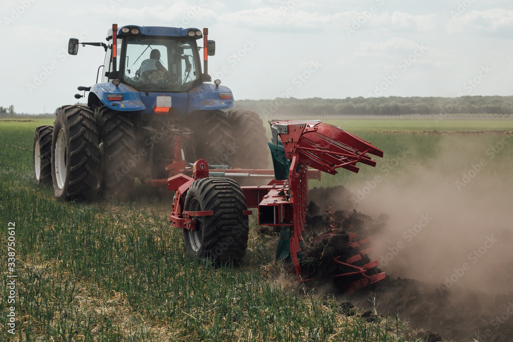Fototapeta premium a massive red plow processes loosens the soil while the blue tractor is moving
