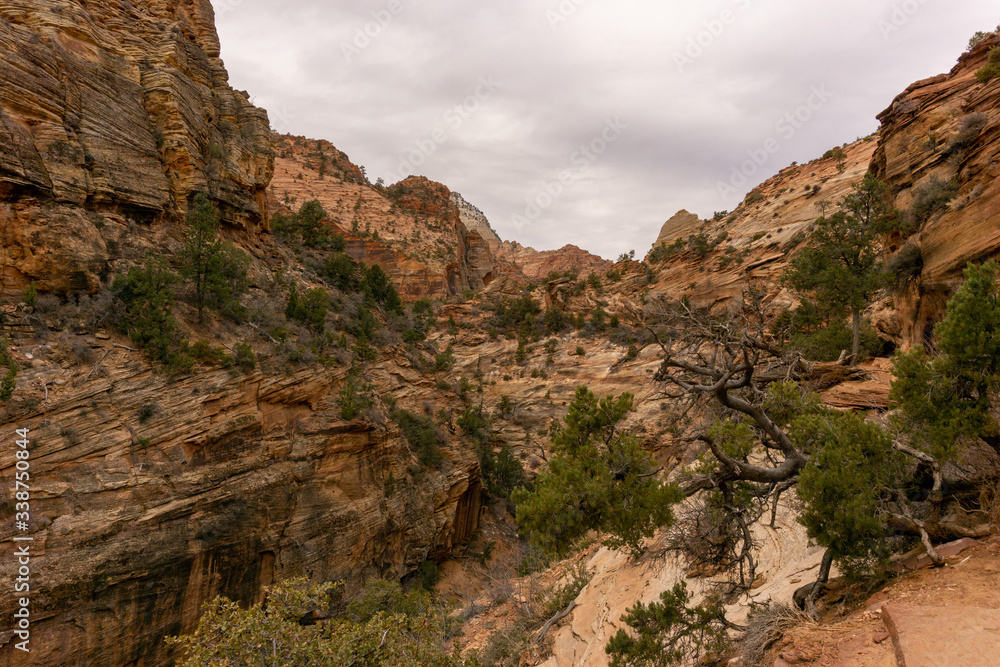 Krajobraz górski w Zion National Park