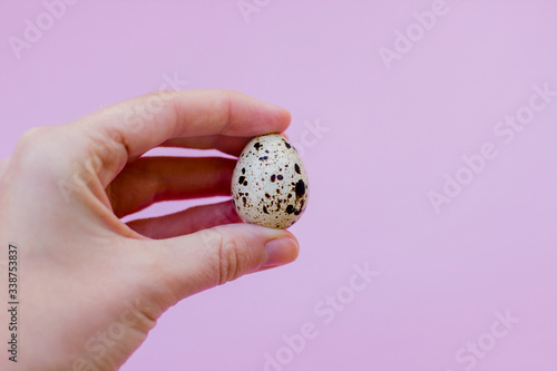 Set of eggs on the background