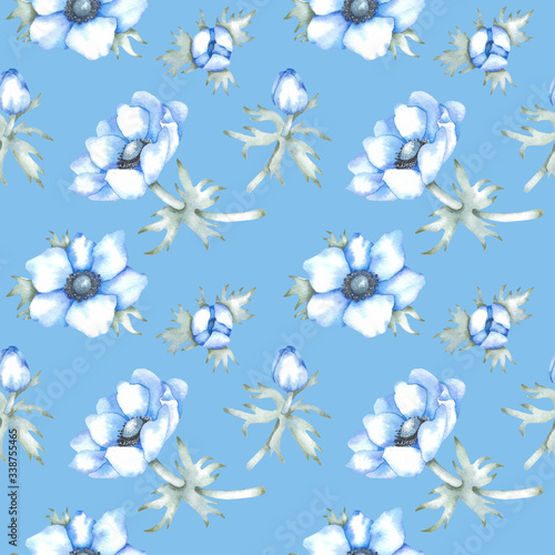 blue anemones background