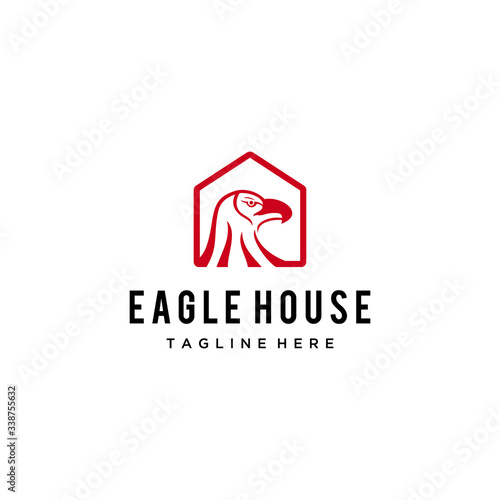 Creative Modern Eagle Logo Vector icon template © saifur