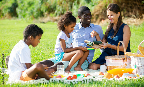 Family enjoying picnic © JackF