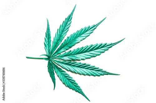 Pearlized Green coloured Leaf of full-grown Hemp - Cannabis - isolated on white background with shadow. Growing medical marijuana. Studio shot