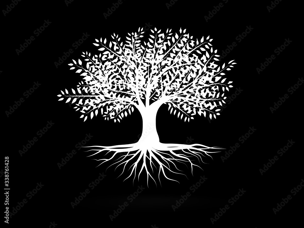 Fototapeta Trees with white leaves look beautiful and refreshing.Tree and roots LOGO style.