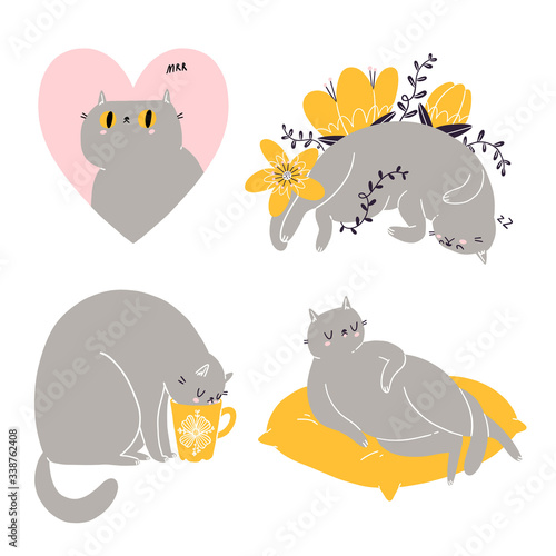Cute british shorthair cat vector collection 6