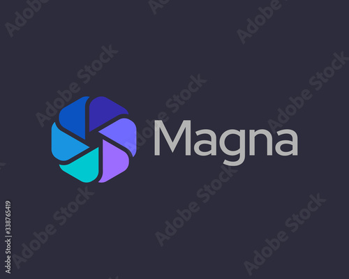 Abstract spin flower sun shutter logo icon design template. Spiral galaxy universe vector logotype symbol.