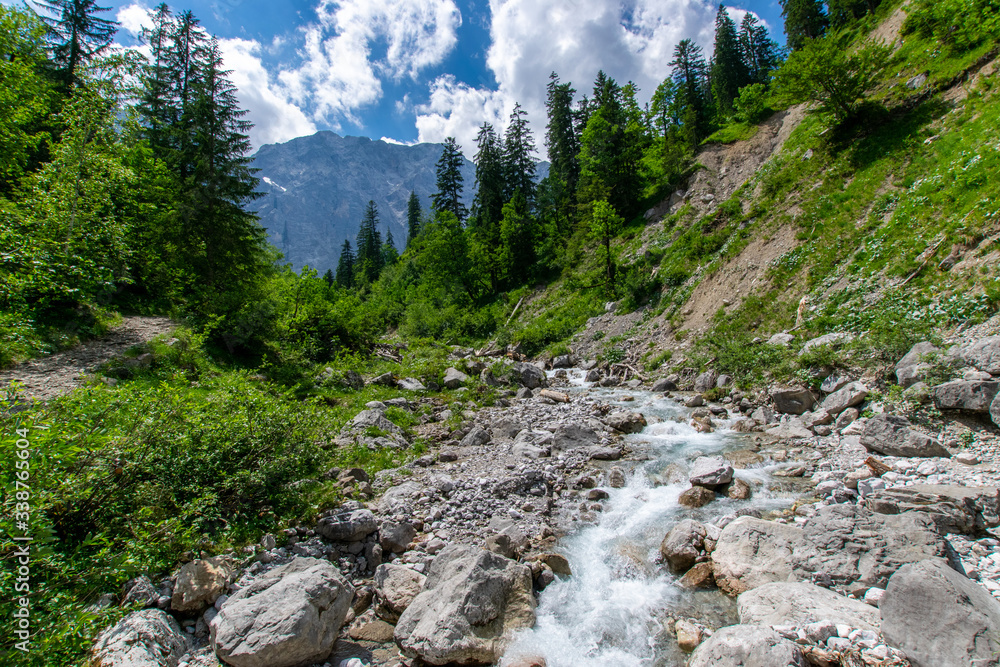 Obraz premium mountain river in the alps