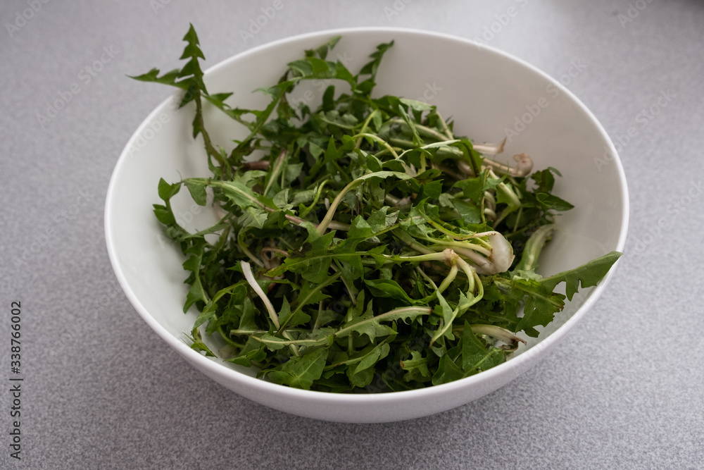 fresh green dandelion salad in a bowl fresh green dandelion salad in a bowl