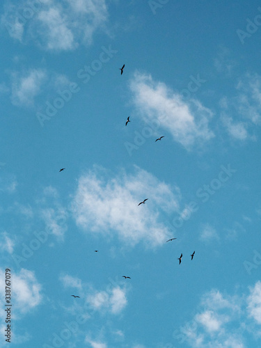 Canvas Print OLYMPUS DIGITAL CAMERA