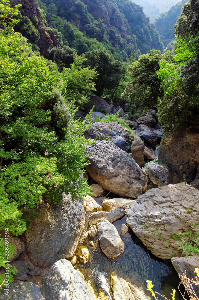 Bucatoggio canyon in Upper corsica mountain Bucatoggio canyon in Upper corsica mountain