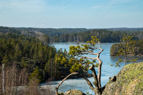 Beautiful landscape with small pine on the rock and icy lake in the national park Repovesi, Finland photo