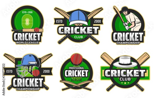 Cricket sport game and player vector icons. Sport club, tournament and championship symbols. Cricket player with bat and red ball, cricket umpire hat and helmet on green field. Heraldic icons