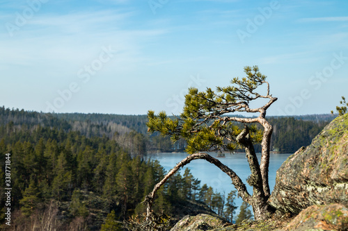 Beautiful landscape with small pine on the rock and icy lake in the national park Repovesi, Finland © Elena Noeva