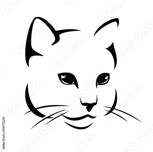 cute cat head - black and white vector outline portrait of pet animal
