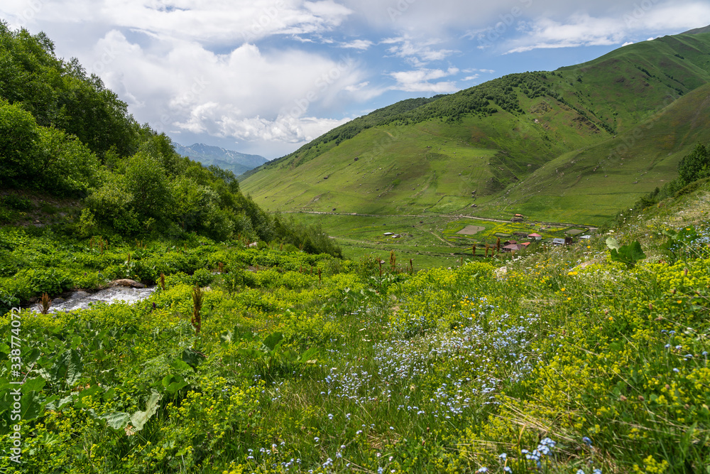 Summer season up on Caucasus mountain near Ushguli village in Svaneti region, Georgia