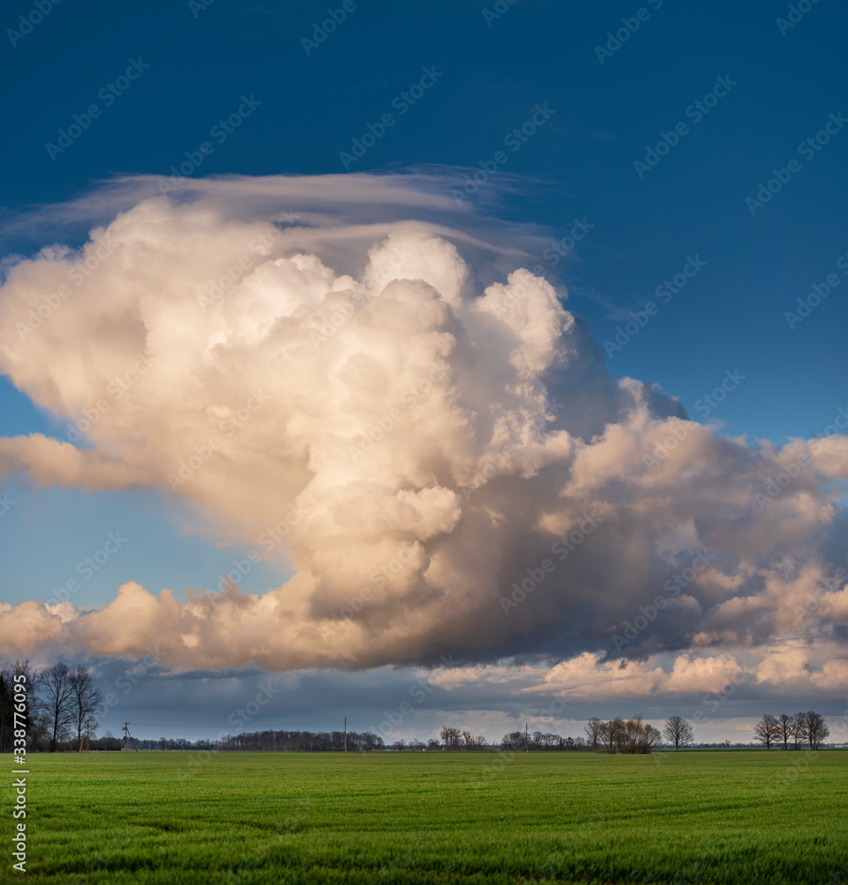Vibrant green agriculture field with beautiful blue after rain sky during early spring day Vibrant green agriculture field with beautiful blue after rain sky during early spring day