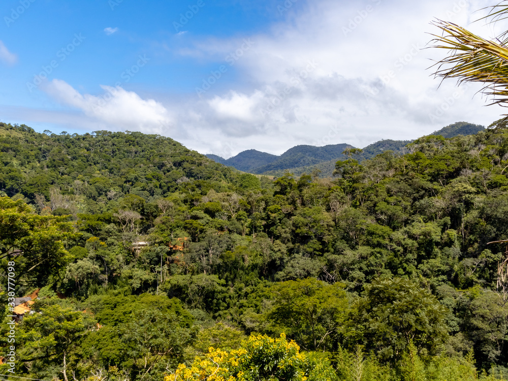 General view of hill covered with Atlantic forest vegetation, Areal, Rio de Janeiro, Brazil