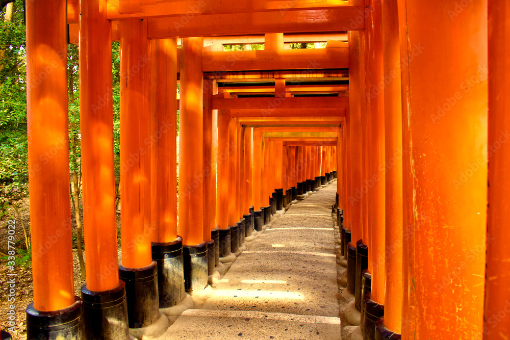 Famous toriis at Fushimi Inari Taisha in Kyoto, Japan Famous toriis at Fushimi Inari Taisha in Kyoto, Japan