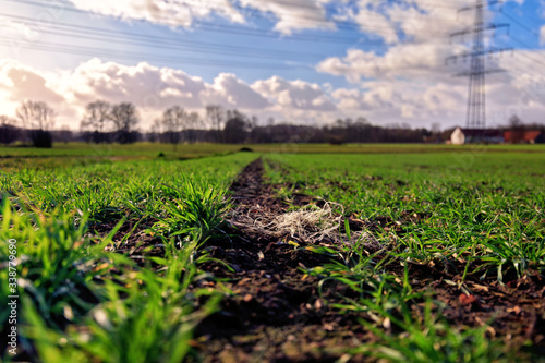 Bilde på lerret Plastic on an acre will weather to micro plastic and enter the food chain