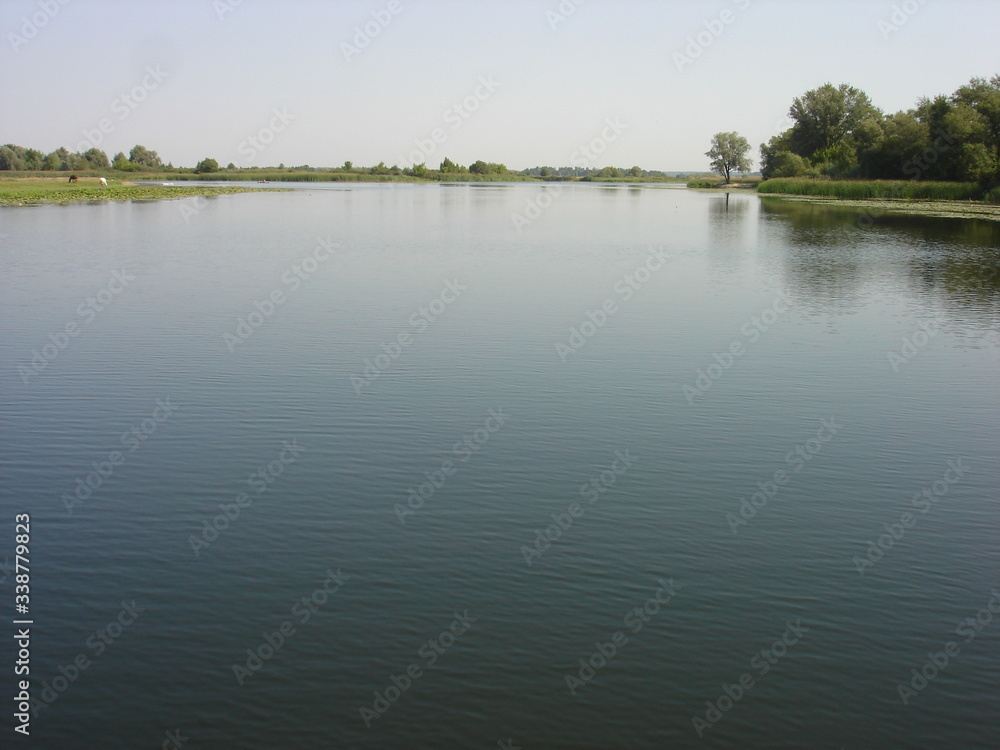 Seim River in the Kursk Region on a sunny summer day.