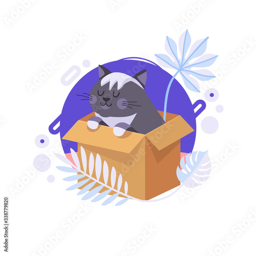 Cartoon cat staying in the box and thinking about life meaning. British cat can be delivered to someone's home. Completed and isolated vector illustration.