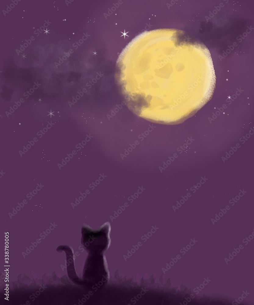 cat on the moon cat on the moon