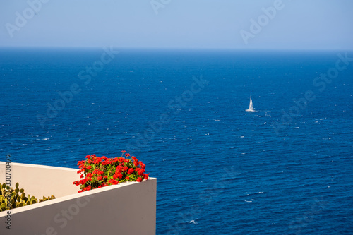 Flowers on a balcony against the background of the sea and a sailboat © Vitaliy