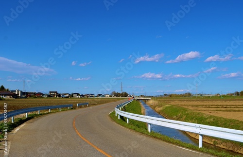 田舎 道 川 春 風景 杤木