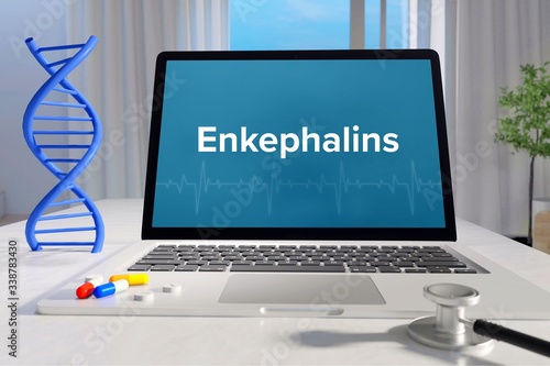 Enkephalins – Medicine/health. Computer in the office with term on the screen. Science/healthcare photo