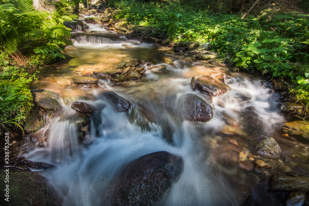 Fototapeta premium wildbach mit vielen felsen im wald
