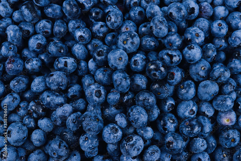 Fresh blueberry background. Texture blueberry berries close up. Fresh blueberry background. Texture blueberry berries close up.