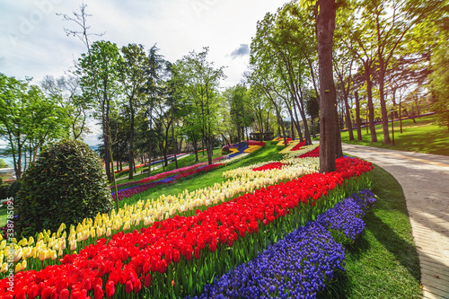 Flower beds in the tulip festival at Emirgan Park, Istanbul