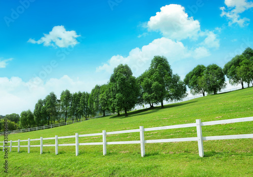 White fence bordering a country pasture with trees © limco72