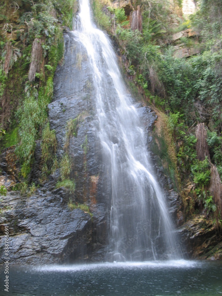 Fototapeta premium waterfall in the forest