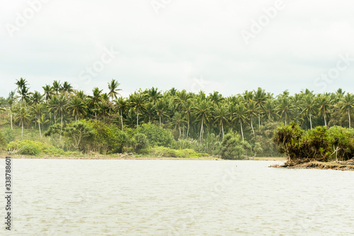 River flowing through tropical forest with palm trees on the background.
