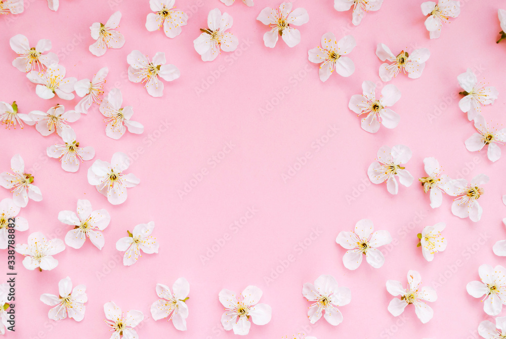 Spring layout, frame of white flowers on a pink background. card. Life style. Good build. Fashionable photo. Place for text. Flat lay Spring layout, frame of white flowers on a pink background. card. Life style. Good build. Fashionable photo. Place for text. Flat lay