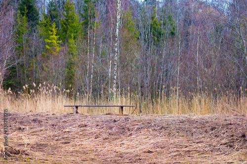 Wooden bench in the forest by the river